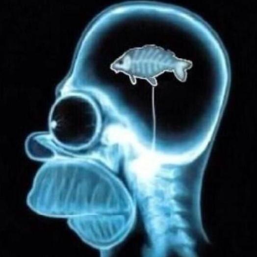 my hobby  - 28175102007753666526851752611653n.jpg